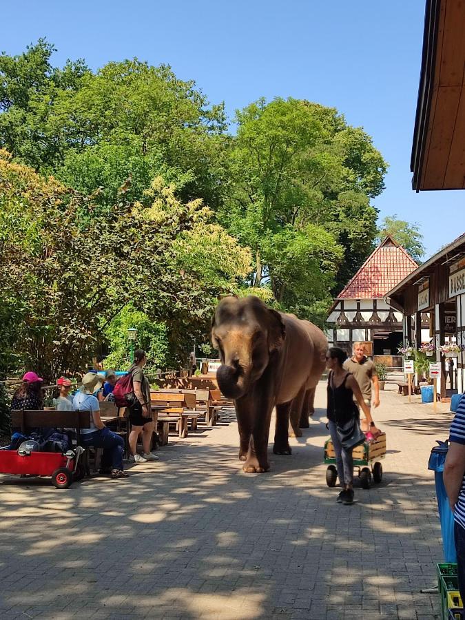 Tierpark Entdeckerhaeuser Wagenfeld Exterior foto